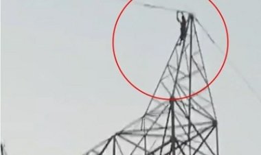 मोबाइल की ऐसी जिद कि 35 फीट ऊंचे टावर पर चढ़ा युवक