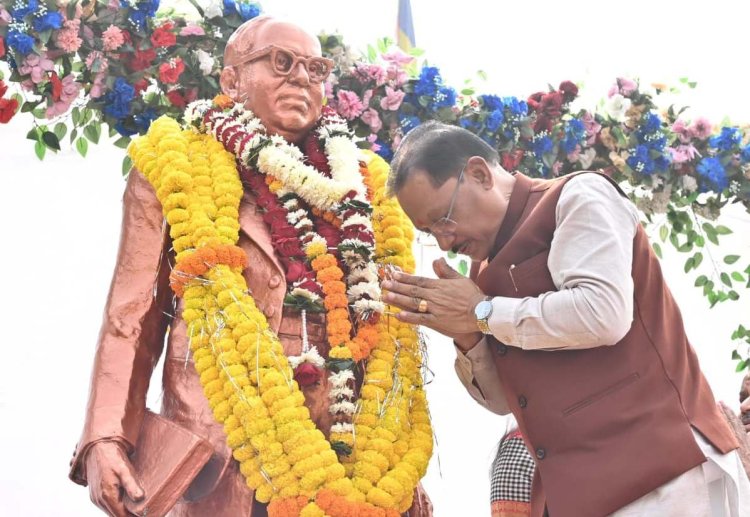 संविधान दिवस पर सीएम साय ने डॉ. अंबेडकर को किया नमन