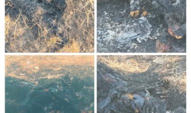 दुर्ग: उतई के पुरई गांव में महिला की जली हुई लाश मिली, इलाके में दहशत