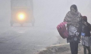 छत्तीसगढ़ में कड़ाके की ठंड और घनी धुंध का कहर, अंबिकापुर सबसे ठंडा इलाका