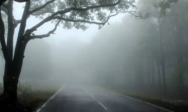 मैनपाट बना शिमला, पारा एक डिग्री तक पहुंचा