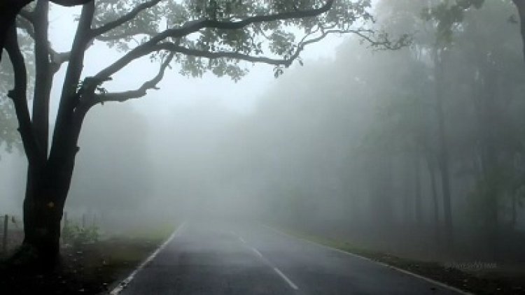 मैनपाट बना शिमला, पारा एक डिग्री तक पहुंचा