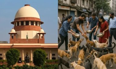 डॉग बाइट मामले में राज्य और कुत्ता प्रेमी दोनों को ठहराया जा सकता है जिम्मेदार...