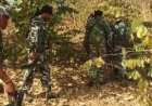 बीजापुर मुठभेड़ में 5 नक्सली ढेर, चार दिन में 214 ठिकाने ध्वस्त