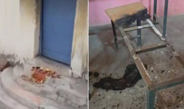 सरकारी स्कूल में तंत्र-मंत्र और तोड़फोड़, क्लासरूम में आगजनी से दहशत