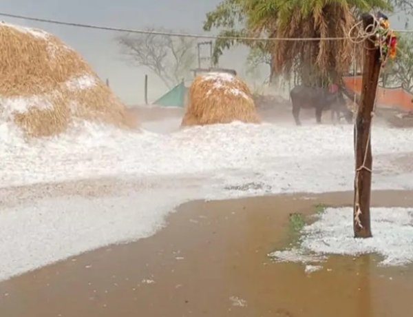 केशकाल में ओलावृष्टि: गांवों में बर्फ की चादर, फसलें चौपट