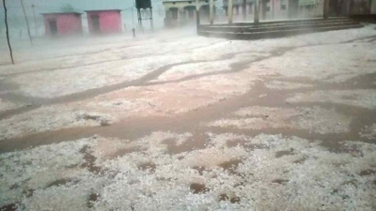 छत्तीसगढ़ में बदला मौसम, बारिश-ओलावृष्टि से फसलों को नुकसान; बिजली गिरने से युवक झुलसा