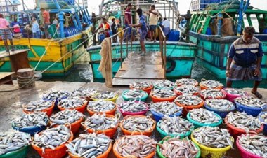 समुद्री खाद्य निर्यात में भारत ने बनाया रिकॉर्ड, 72 हजार करोड़ के पार पहुंचा आंकड़ा