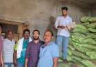 डीएपी के नाम पर हो रही थी ठगी, खारीबहार में 17.1 टन अवैध उर्वरक जब्त, 342 बोरी सील कर जांच शुरू