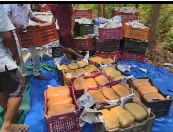 आम की कैरेट के नीचे छिपाकर ले जा रहे थे 207 किलो गांजा
