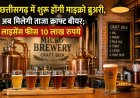 छत्तीसगढ़ में शुरू होंगी माइक्रो ब्रुअरी, अब मिलेगी ताजा क्राफ्ट बीयर; लाइसेंस फीस 10 लाख रुपये