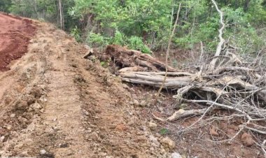 PMGSY सड़क निर्माण के नाम पर जंगलों पर चल रहा बुलडोजर