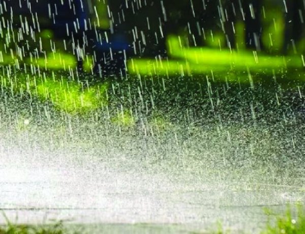 मानसून ने पकड़ी रफ्तार, कई राज्यों में भारी बारिश का अलर्ट; केरल में पेड़ गिरने से युवक की मौत