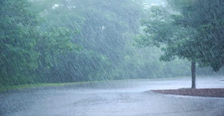 मौसम अलर्ट: छत्तीसगढ़ में अगले 5 दिन तेज बारिश, आंधी और वज्रपात की चेतावनी