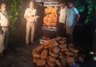 जशपुर पुलिस ने पकड़ा सवा करोड़ का गांजा, 2 अंतरराज्यीय तस्कर गिरफ्तार