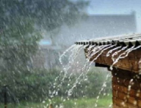 मानसून फिर हुआ सक्रिय, प्रदेशभर में बरसेंगे बादल